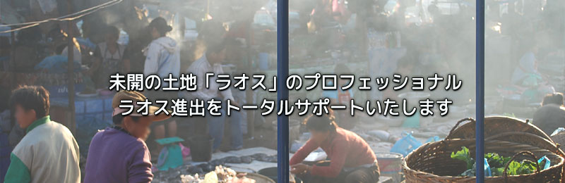 未開の土地「ラオス」のプロフェッショナル。株式会社アムズインターナショナルは、ラオス進出をトータルサポートいたします。